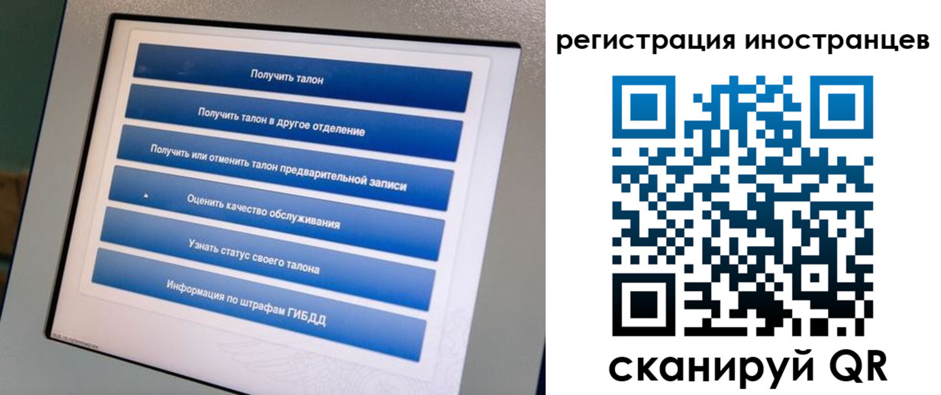временная регистрация законно в Светлогорске