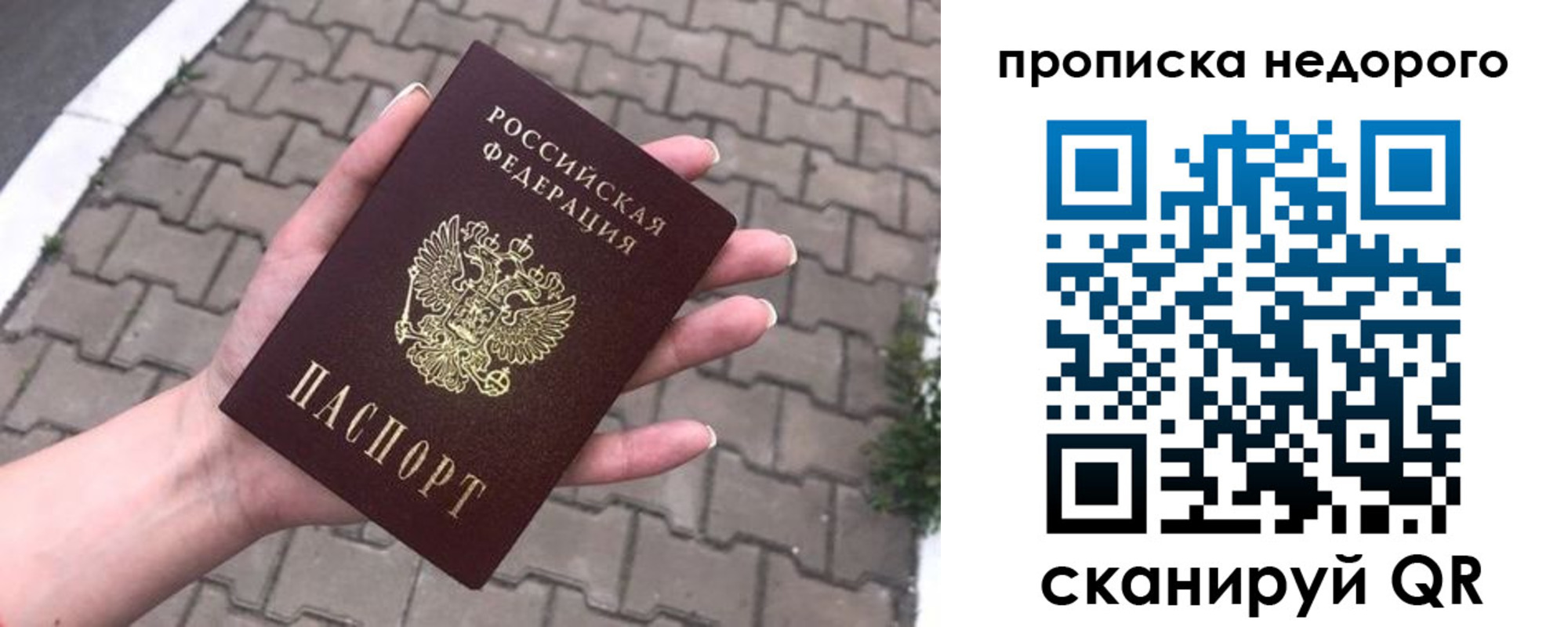 временная регистрация для всех в Светлогорске